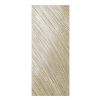 Goldwell Light Dimensions Soft Color 10-BS Schaumtönung Beige Silver